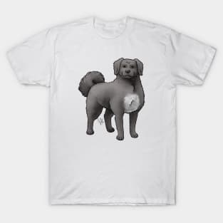 Dog - Wetterhoun - Black T-Shirt